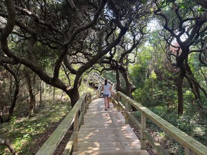 Enceinte de l’hébergement