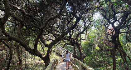 NEW to VRBO: Stunning OCEANFRONT Condo in Pine Knoll Shores on Emerald Isle.