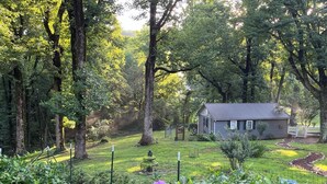 A house surrounded by a well-maintained garden with various plants and flowers.