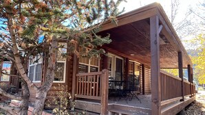 A wooden cabin with a porch, steps, and a table with chairs. - Modern "Tiny Home" Style Cabin on Taylor River with Private Fishing Access (Almont)