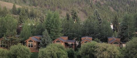 Una hilera de cabañas de madera estilo rústico con ventanales amplios, rodeadas de un bosque denso y un río.