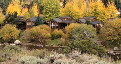 Modern "Tiny Home" Style Cabin on Taylor River with Private Fishing Access
