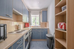 Basic Apartment, 1 Queen Bed | Private kitchen | Fridge, oven, stovetop, toaster