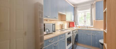 Basic Apartment, 1 Queen Bed | Private kitchen | Fridge, oven, stovetop, toaster
