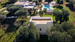 Une villa moderne dotée d’une piscine sur le toit, entourée d’oliveraies et d’une pelouse bien entretenue.