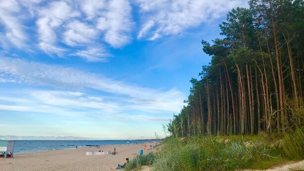 A beach with a clear sky and a line of trees in the background. - Holiday Home Baltic Coast Near Beach (Mielno)