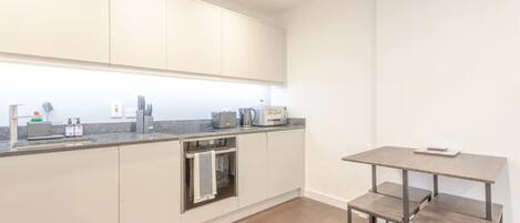 Basic Apartment, 1 King Bed with Sofa bed | Private kitchen | Fridge, microwave, oven, stovetop