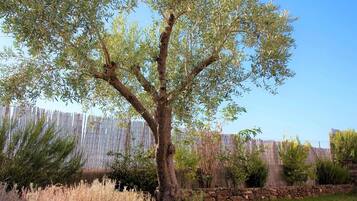 Ferienhaus | Blick von der Unterkunft