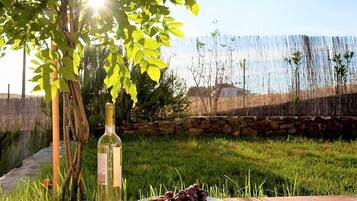 Ferienhaus | Blick von der Unterkunft