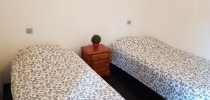A room with two single beds, a small wooden nightstand with a potted plant, and a wall socket.