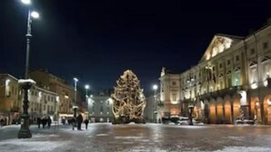 Un grand sapin de Noël, richement décoré, se dresse sur une place bordée de bâtiments des deux côtés.