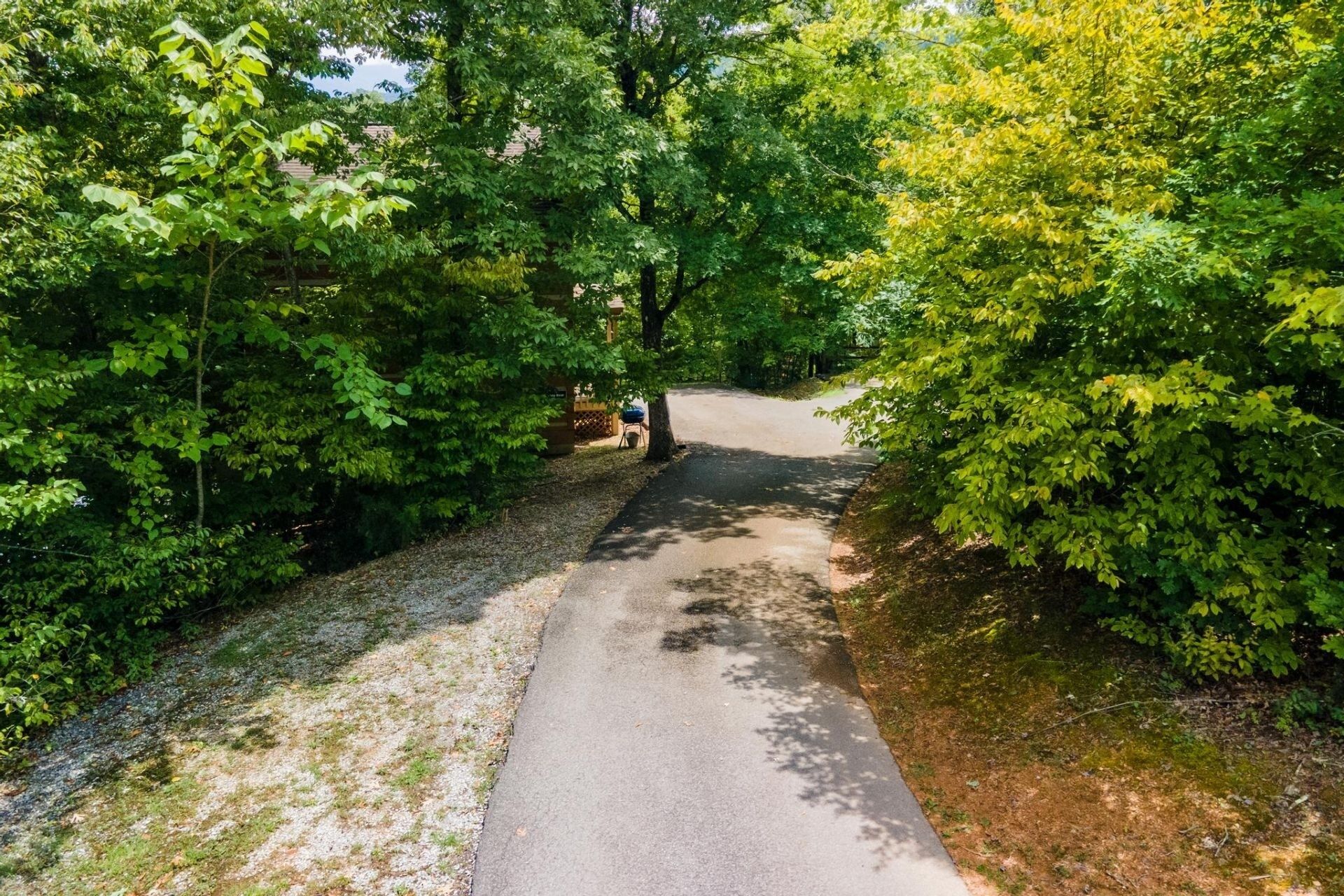 A narrow paved path flanked by dense green foliage, leading to a structure with a sloped roof.