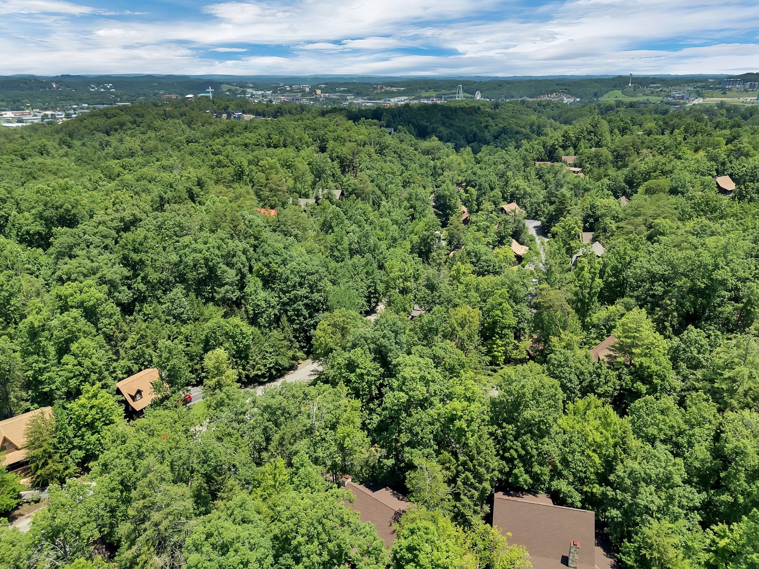 A residential area with houses surrounded by dense green trees.