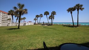 A grassy area with palm trees, a pool, and a view of the ocean.