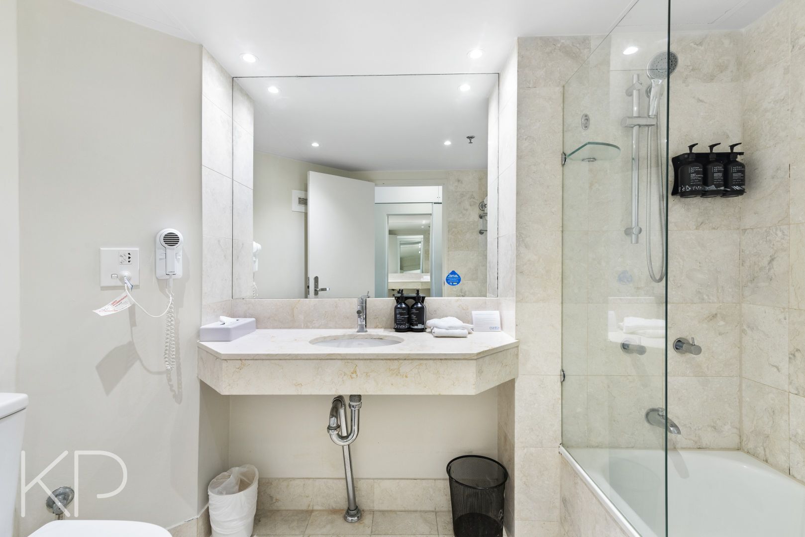 Hair dryer, towels, shampoo, toilet paper