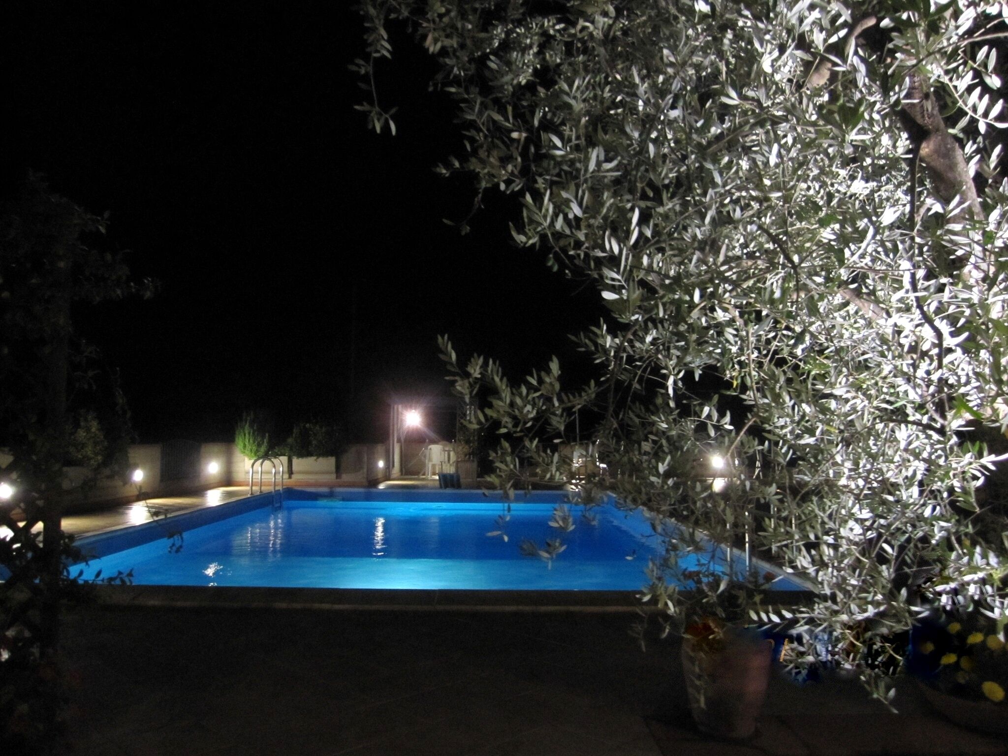 A swimming pool at night with surrounding trees and a few lights.