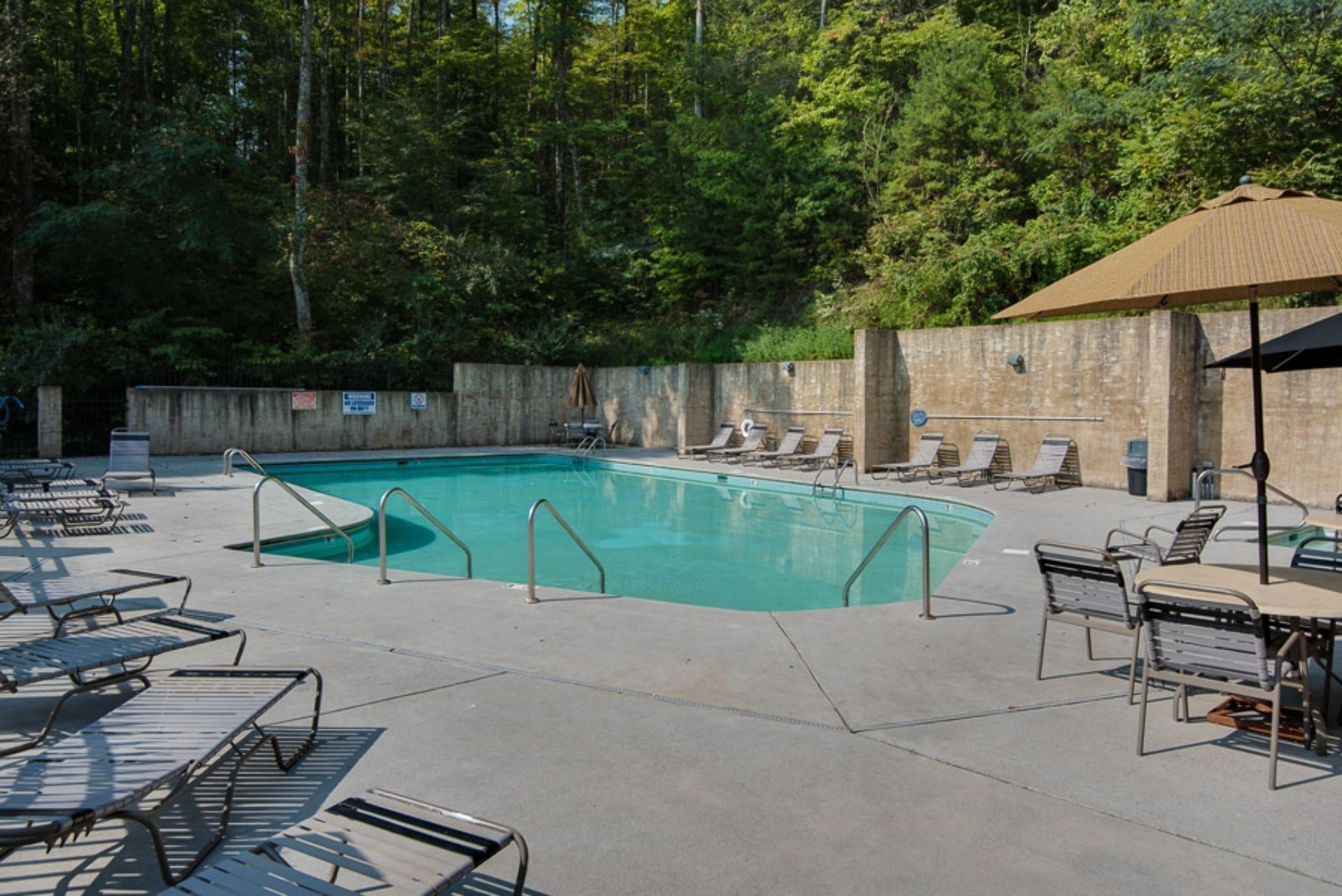A swimming pool with lounge chairs and umbrellas, surrounded by trees.