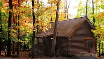 Cabin, 1 Bedroom | Exterior