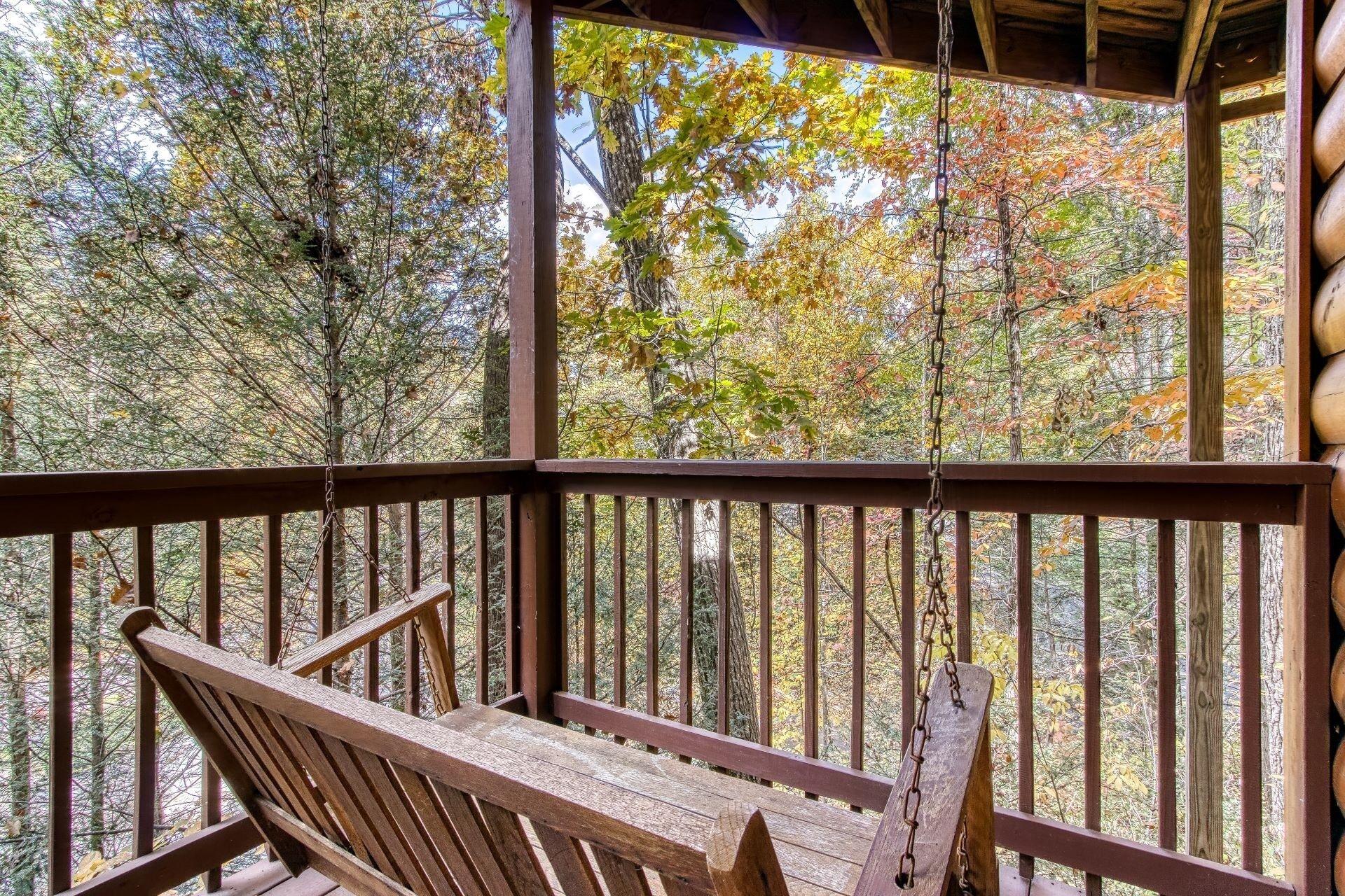 A wooden deck with a bench and a swing, surrounded by trees with autumn foliage.