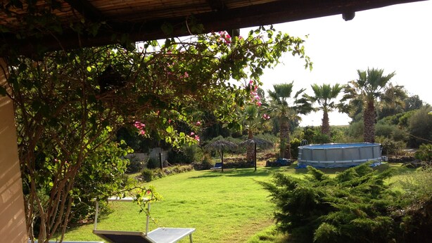 Un patio trasero con césped, piscina y un área de terraza techada.