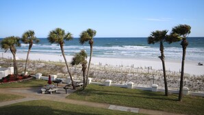 A beach view with palm trees, a sandy area, and a fence.