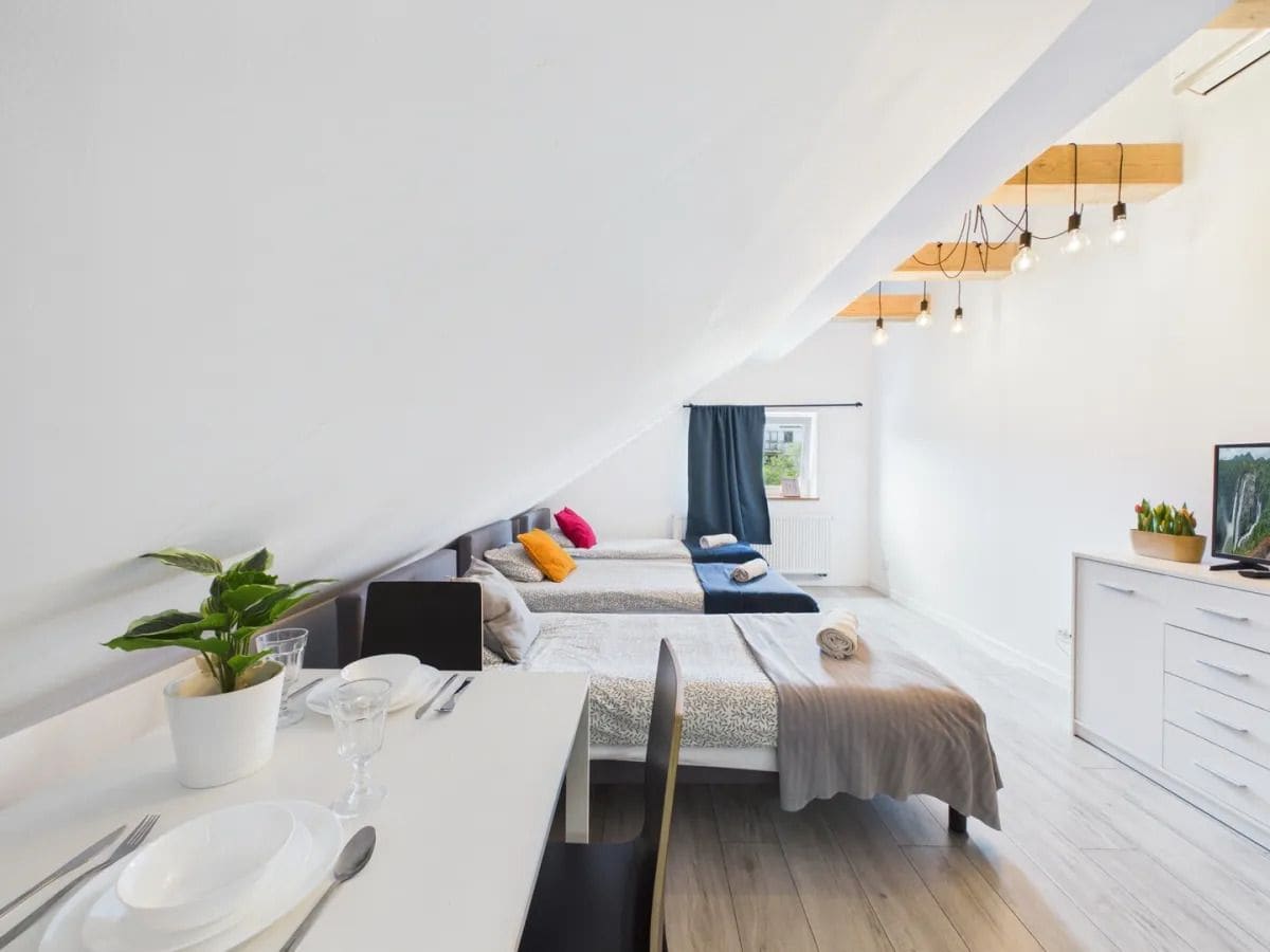 Habitación moderna y bien iluminada con zona de comedor, dos camas con almohadas de colores, una planta en maceta y un televisor sobre un mueble.