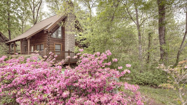 A rustic cabin with a stone chimney, surrounded by lush greenery and blooming pink azaleas. - Er83 - Savage Loft - Your Close To The Action Cabin Getaway 2 Bedroom Cabin by RedAwning (Pigeon Forge)