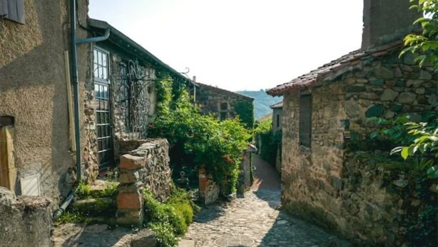 A narrow cobblestone alley flanked by stone buildings with greenery and vines.