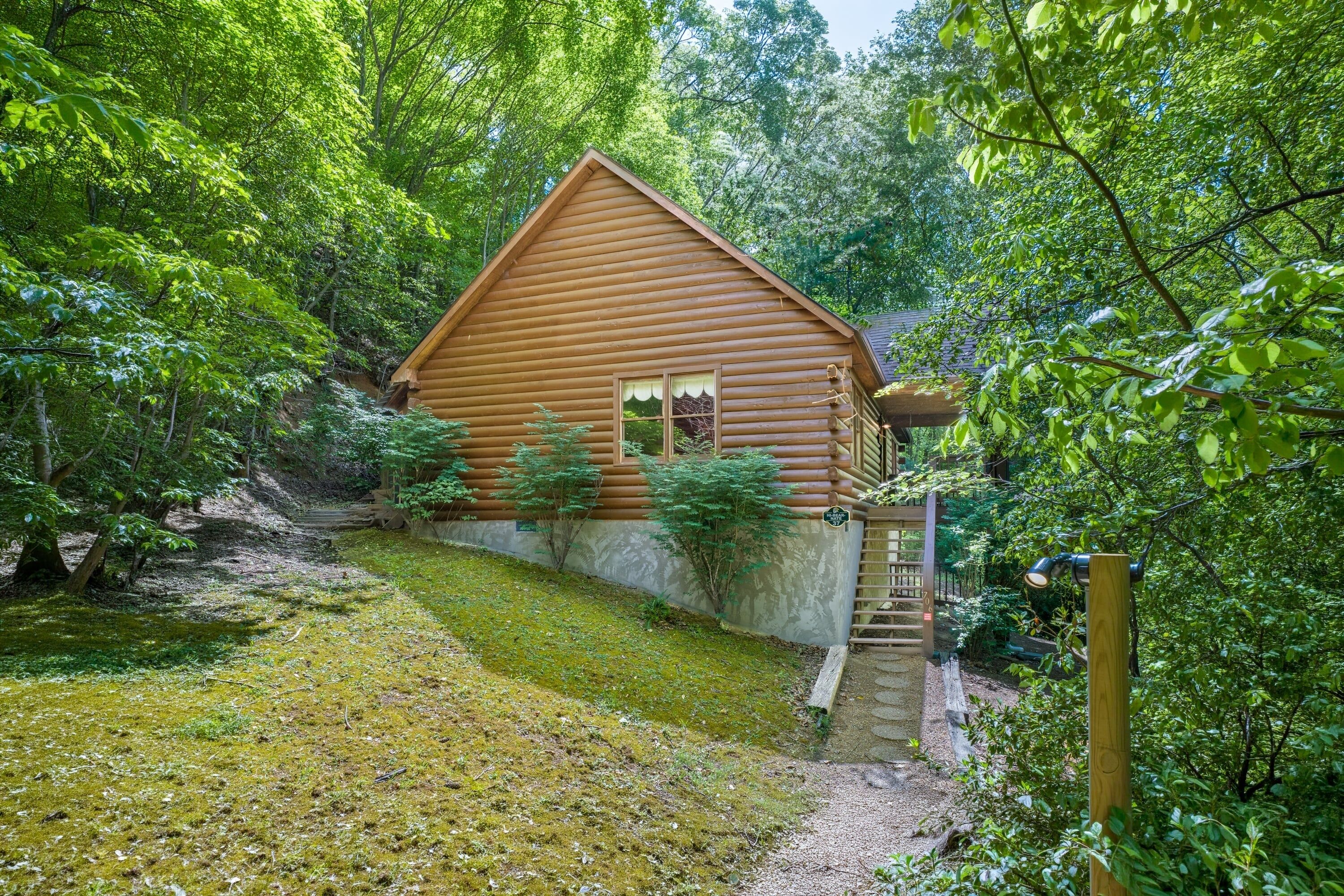 Une cabane en bois entourée d’une forêt dense, avec un chemin de gravier menant à l’entrée.