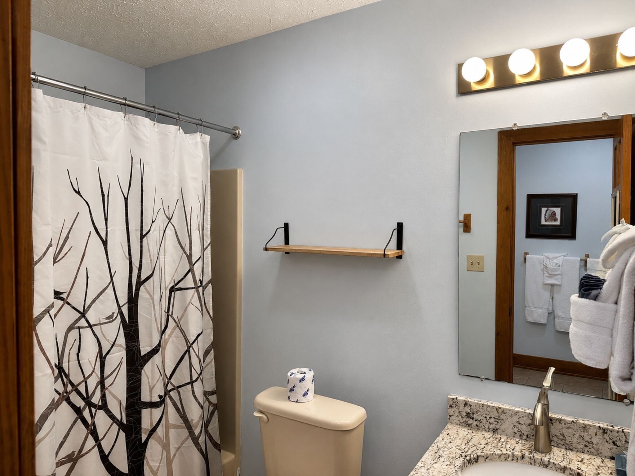 Une salle de bain équipée d’un rideau de douche, de toilettes, d’un lavabo et d’un miroir avec éclairage.