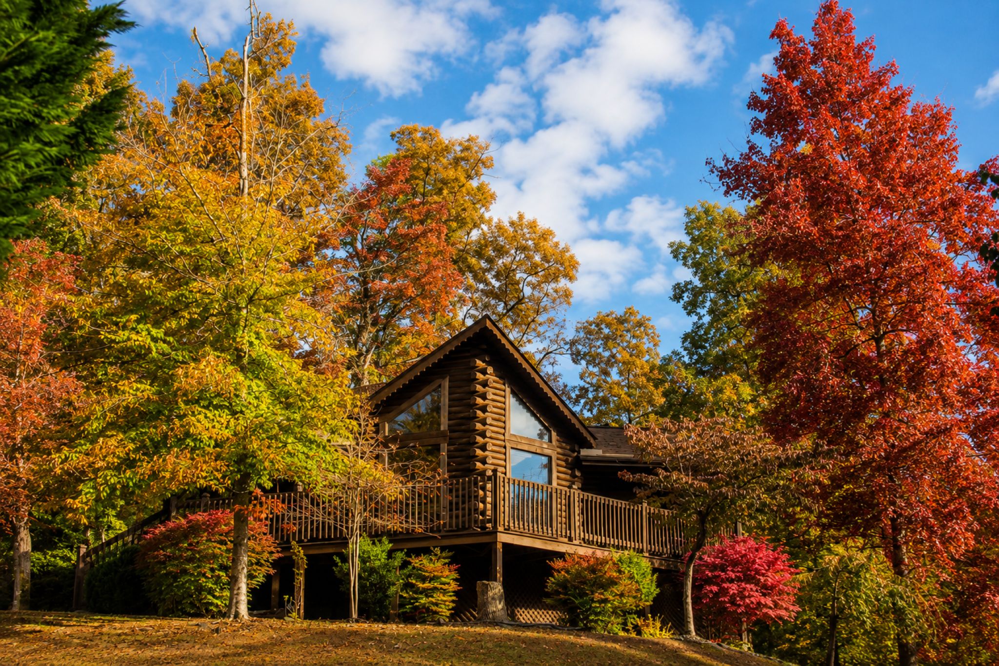 A cabin with a wooden deck and a large window, surrounded by autumn-colored trees.