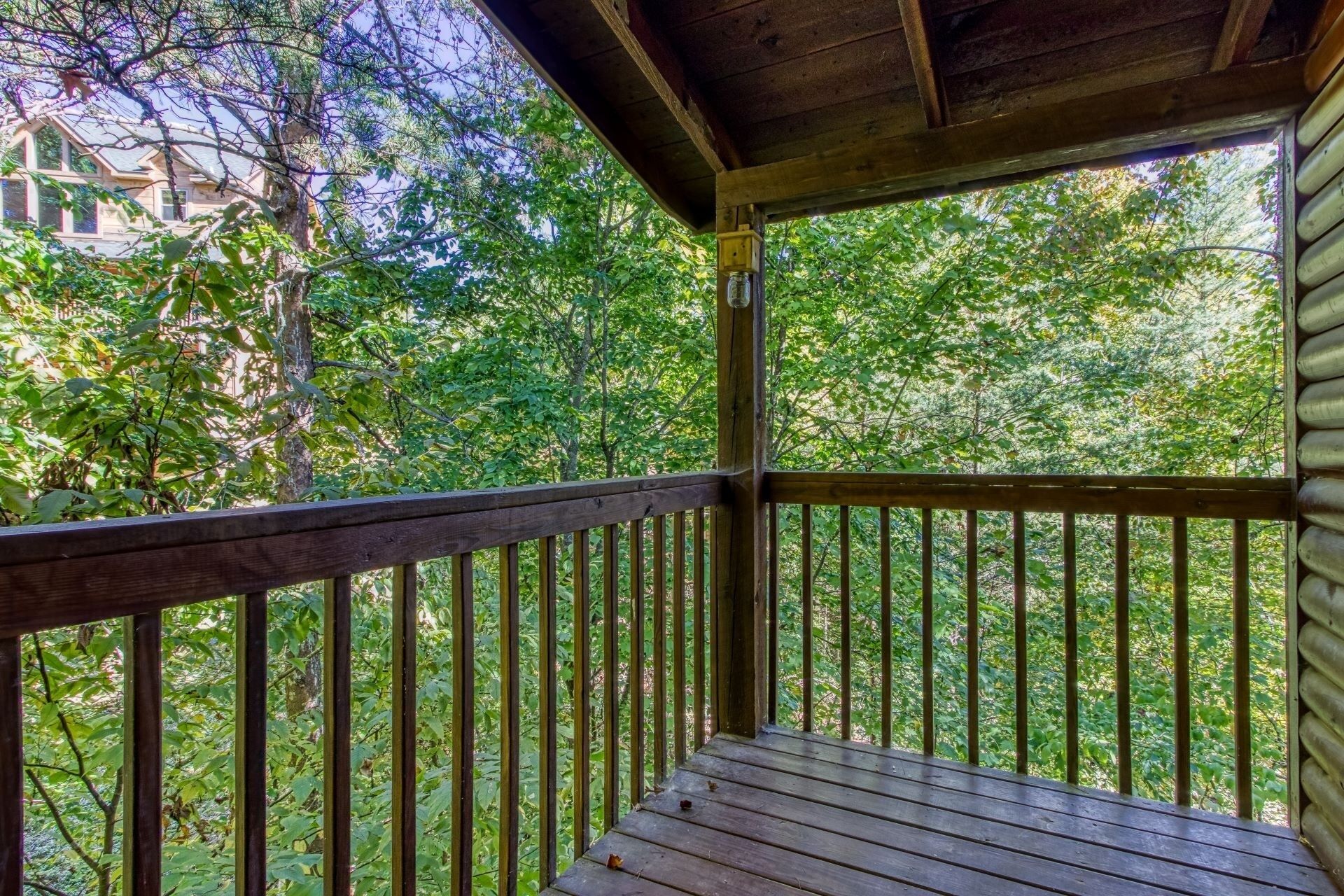 A wooden deck with a railing, surrounded by lush green trees.