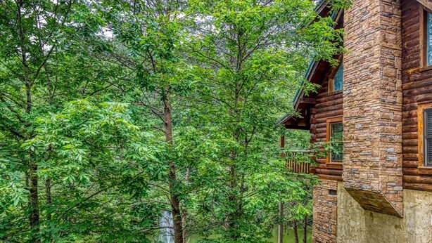 Eine rustikale Holzhütte mit Steinwänden, umgeben von üppigem Grün und einem Teich.