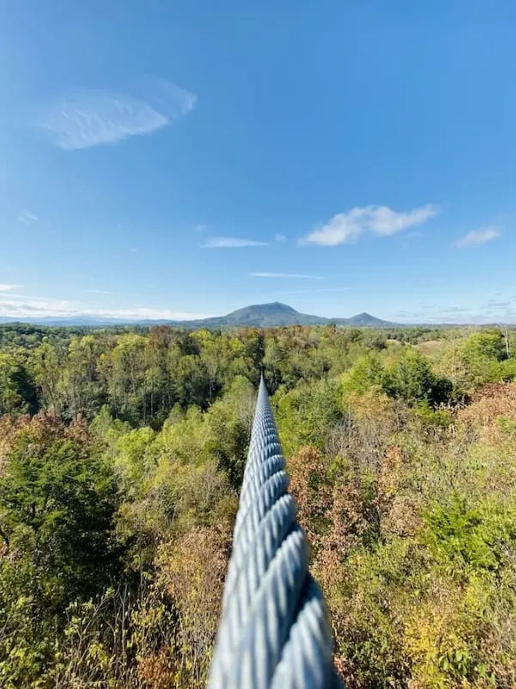 Un puente colgante que se extiende sobre una zona boscosa, con una montaña a lo lejos.