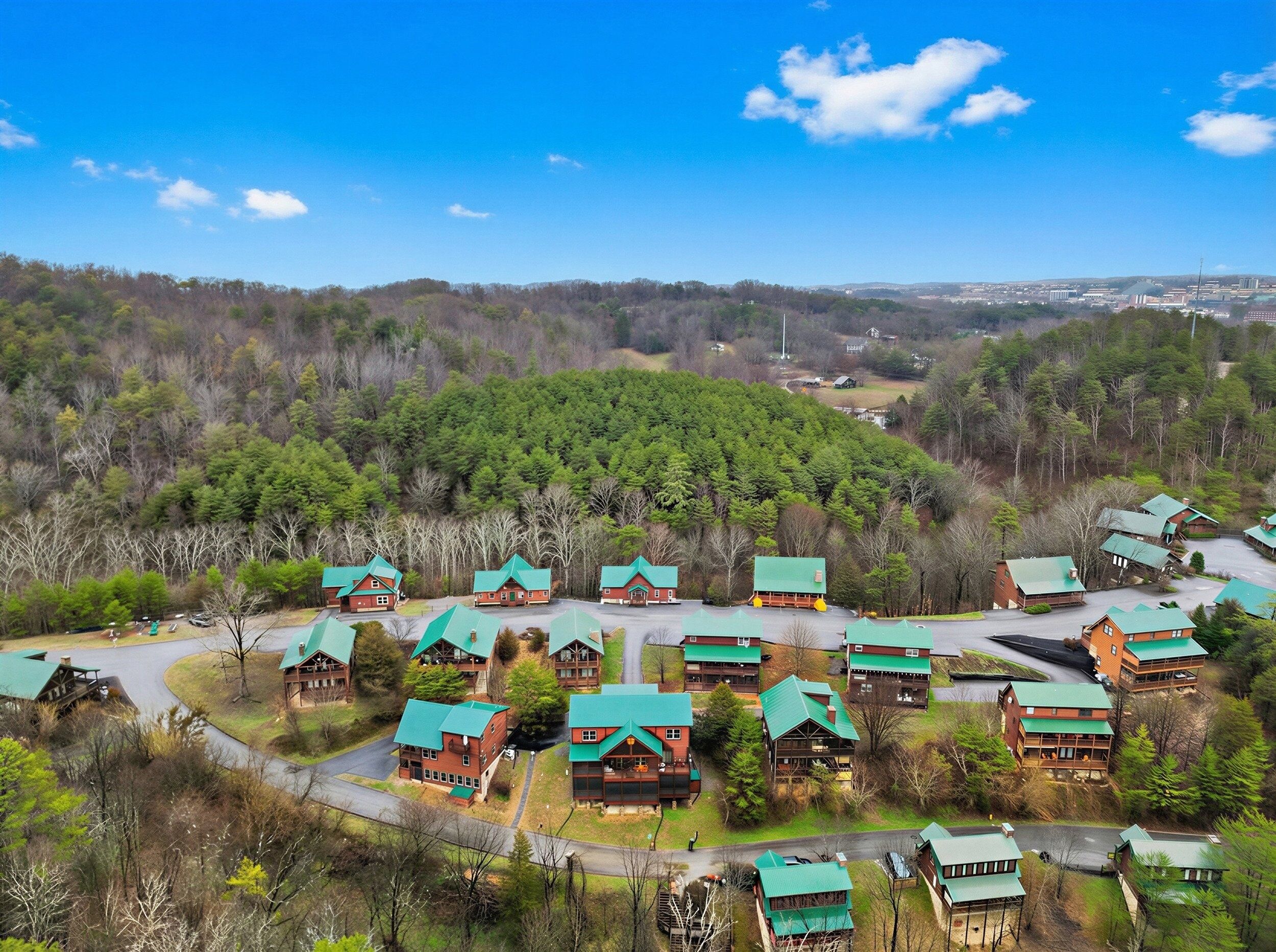 A lodge with multiple cabins, surrounded by dense forest and a clear sky.