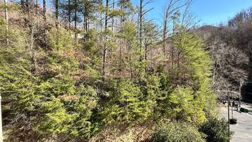 Condo, 3 Bedrooms | Property grounds