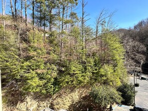 Lägenhet - 3 sovrum | Boendeområde