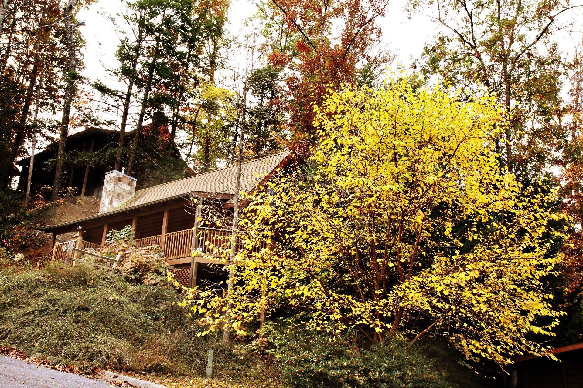A cabin with a wooden deck and stone walls, surrounded by dense forest and yellow foliage.