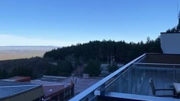 Een kluis op de kamer, een bureau, gratis wifi, beddengoed