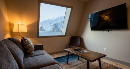 Superior King Two Bedroom Apartment