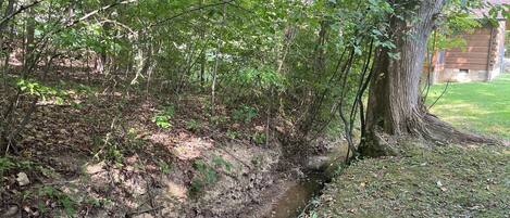 Cabin, 3 Bedrooms | Property grounds