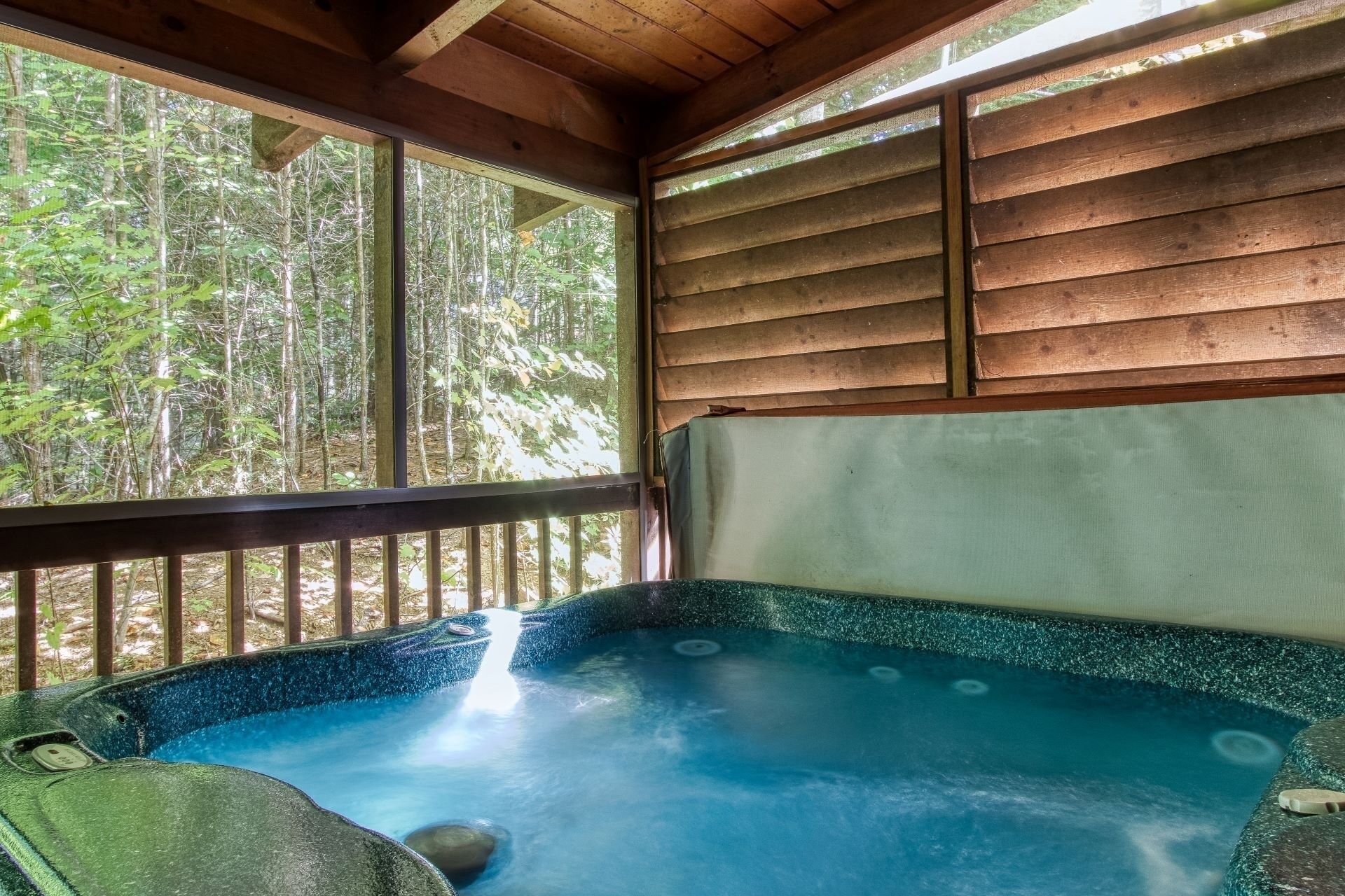Cabin, 3 Bedrooms | Indoor spa tub