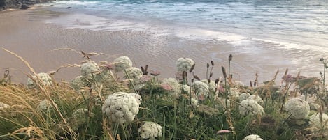 Ubicación cercana a la playa