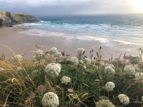 Beautiful hand crafted cottage 5 minutes from sandy beach and rugged coastline!