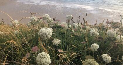 Beautiful hand crafted cottage 5 minutes from sandy beach and rugged coastline!