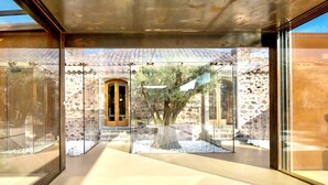 A modern interior with large glass windows, a central tree, and a stone building exterior.