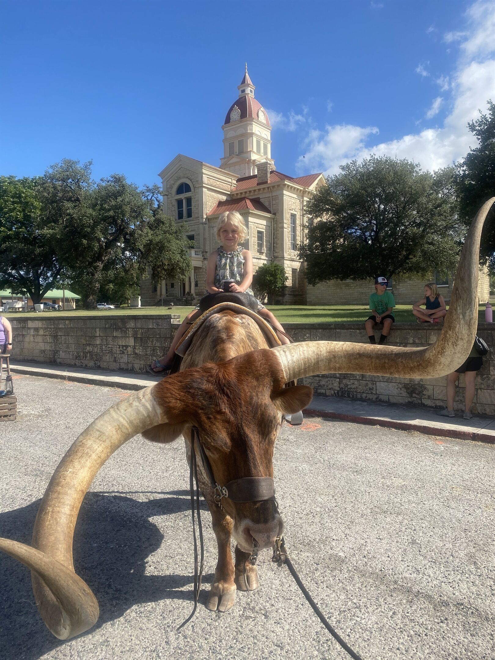 A bull with large horns in front of a historic building with a clock tower.