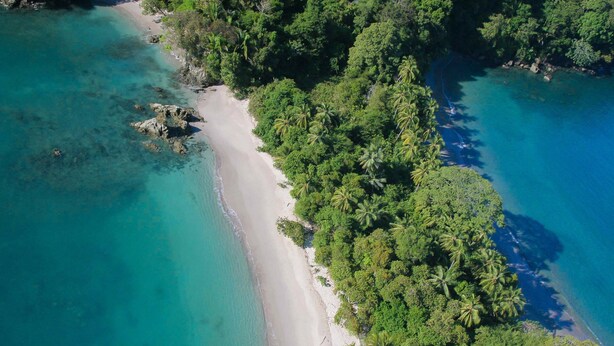 An aerial view of a beach with clear turquoise waters, surrounded by dense green foliage and palm trees. - Blue Horizon one bedroom apartment B Quepos Complimentary access to Beach Club (Quepos)