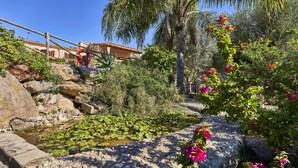 A garden with a pond, rocks, and flowering plants. - Villa in Búger perfect for children with swimming pool, paddle court and large garden (Búger)
