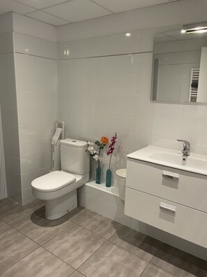 Shower, hair dryer, toilet paper